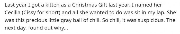 He got a little kitten as a Christmas gift. He named her Cissy.