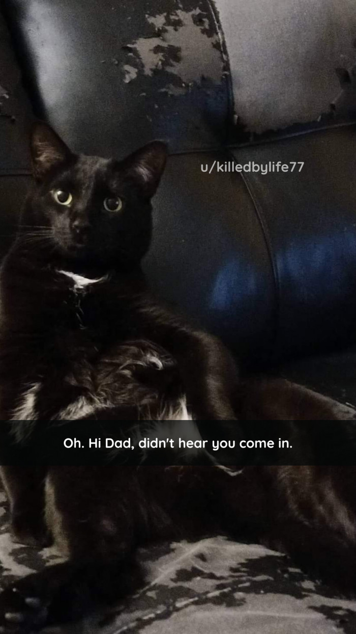 15. Well, well, well. What do we have here?