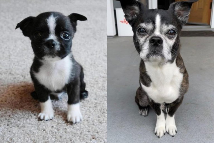 21. Both pictures are eleven years apart