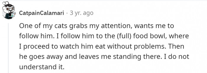 And, yes, they do have their strange rituals...