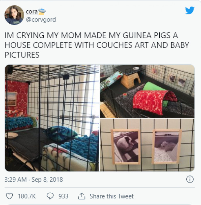 1. It's a guinea pig mansion!