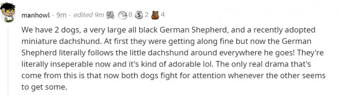 19. German shepherd and a dachshund. What a combination...