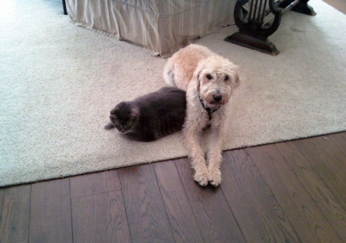 10. Hi Sammie, want to join us?