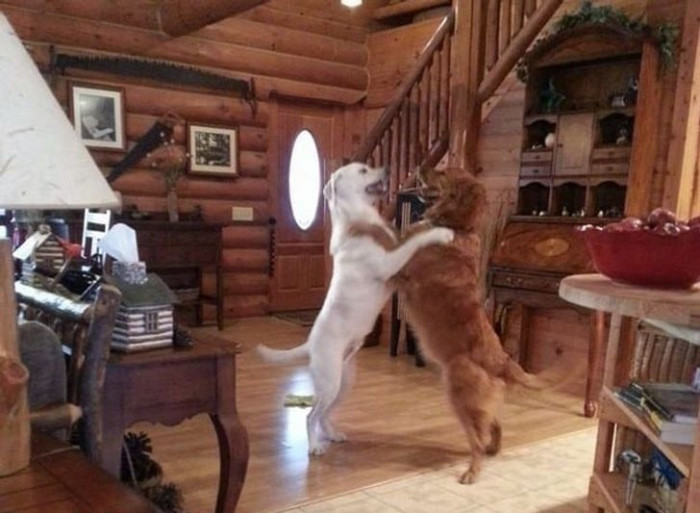 6. It's always a happy moment to see your best friend after a long time.