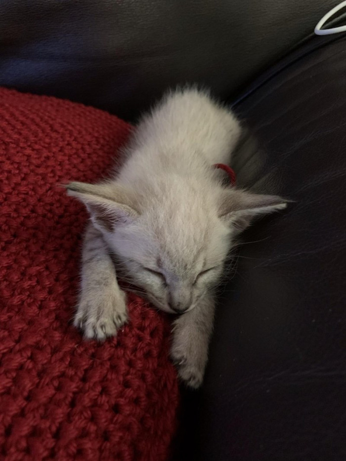 Such a peaceful little angel.