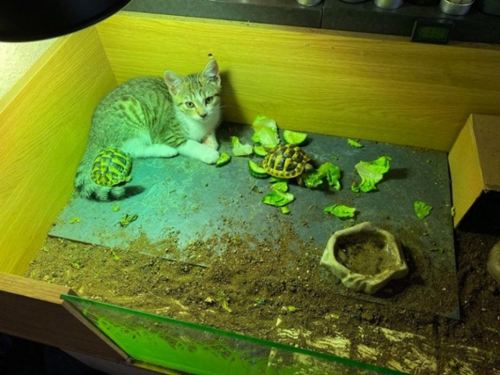 21. Check out her favorite place in the whole house