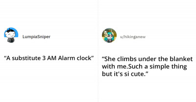 Cat Fanatic Asks Redditors What Their Favorite Thing Is That Their Cats Do, and the Answers Are On Point