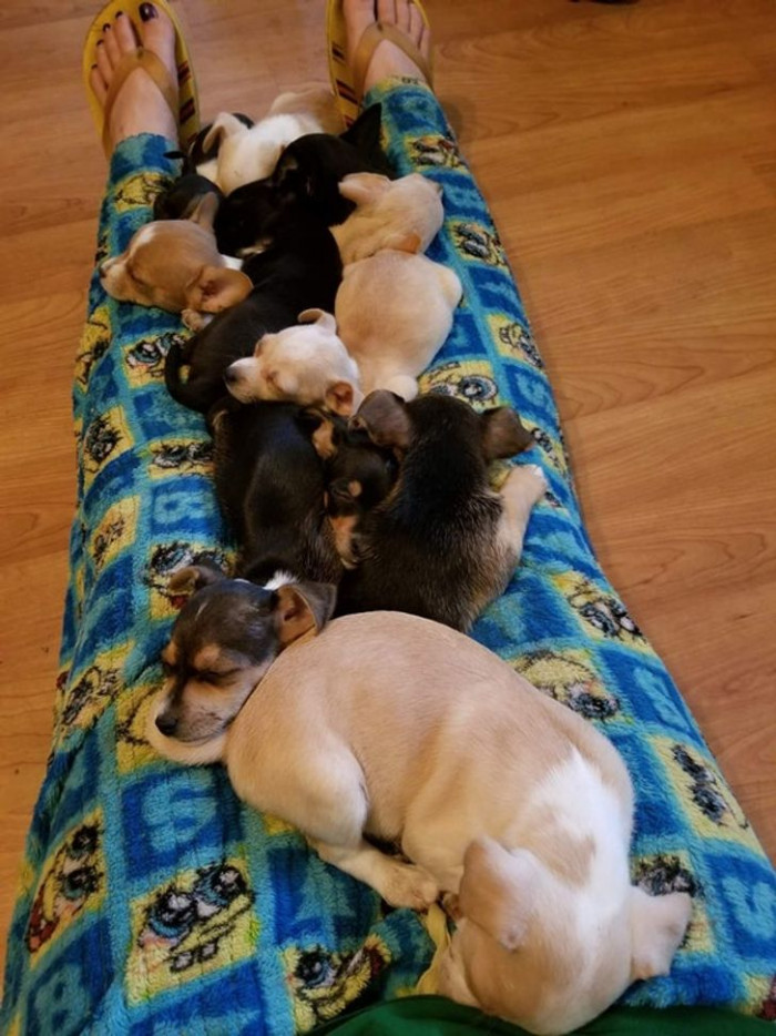 24. The more, the merrier!