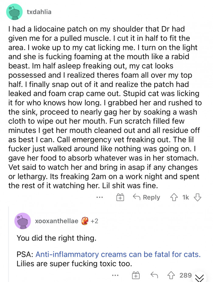 Another cat that needed to be saved because of their shenanigans.