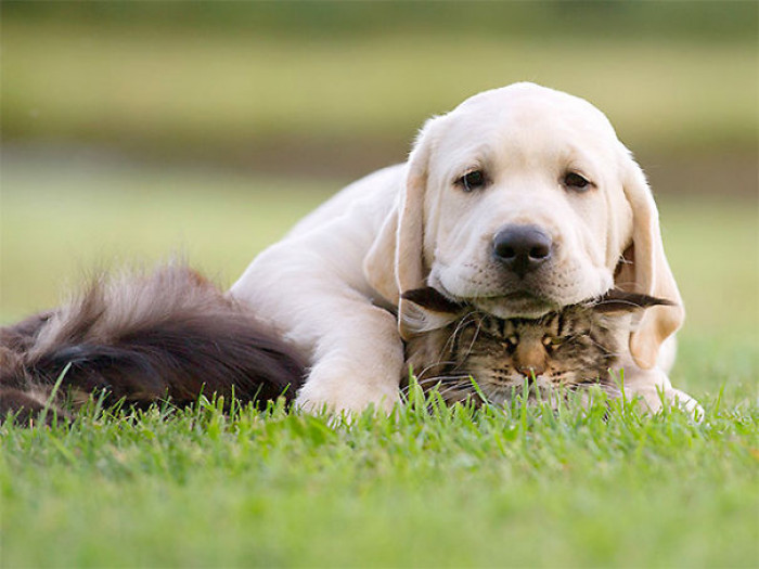 4. Perfect pose for the perfect picture