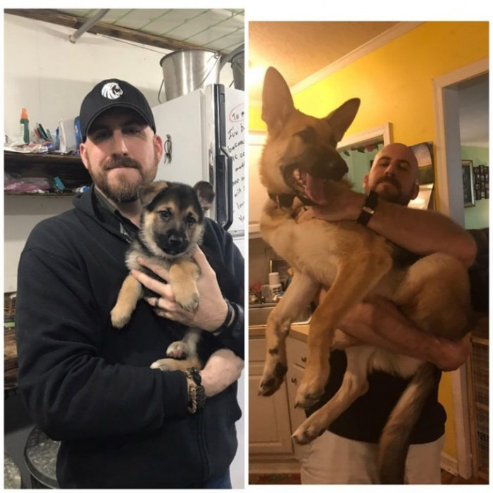 17. Both pictures are sixteen weeks apart