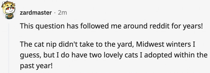 Sadly (for OP and the cats), the catnip garden didn't bloom