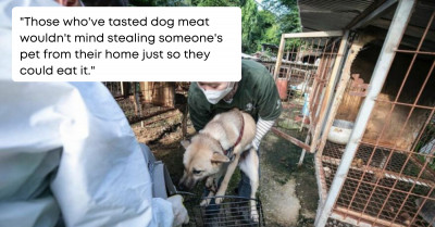 Dogs Caged in a South Korean Meat Farm Get a Second Chance To Love, Life, and Happiness