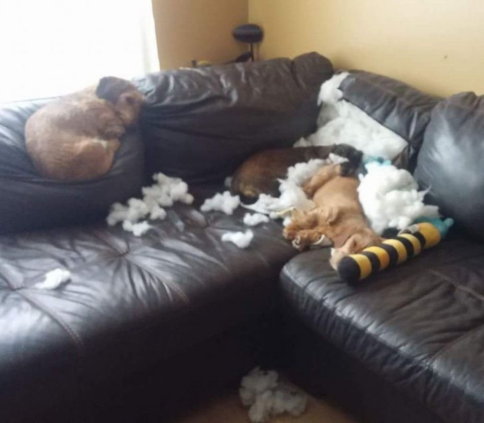 7. Nothing new here. Just having fun and resting.