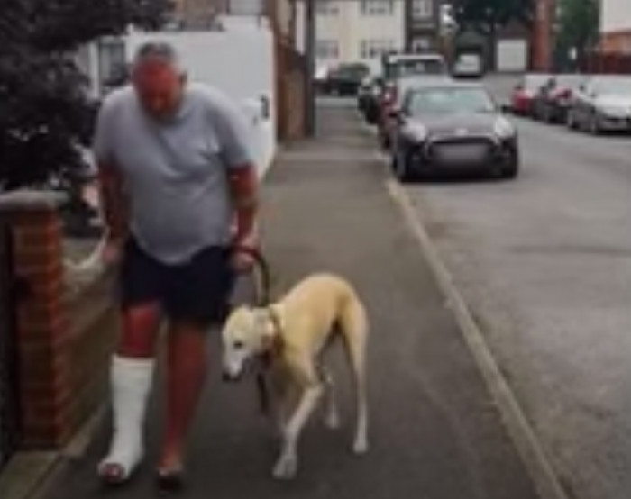 His owner, Russell Jones, from London, England, was suffering from an ankle injury and was forced to use crutches for the time being.