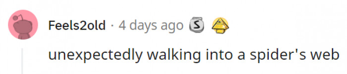 3. We don't think anyone can handle this calmly, especially if there's a live spider involved.