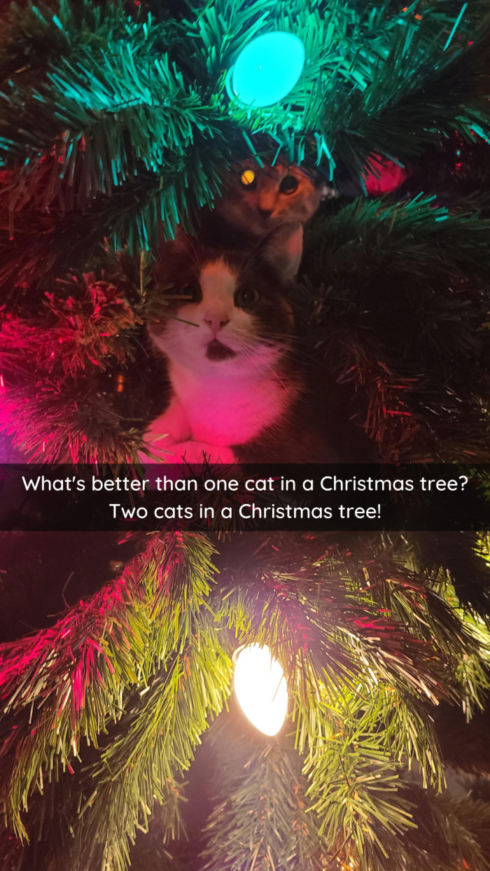 2. I agree, very much.