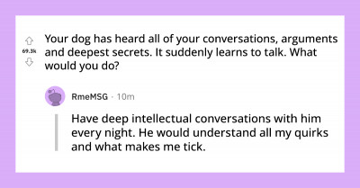 Dog Owners Were Asked What Their Dogs Would Say If They Were Given The Power To Talk And Their Responses Are Enlightening
