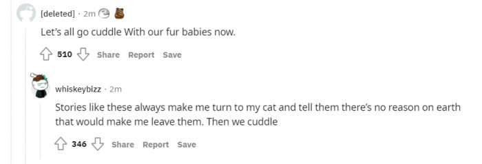 Reddit decided it's best for them to cuddle their fur babies extra tight today for this poor cat.