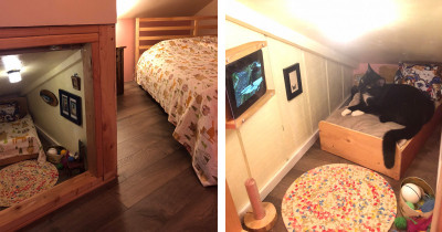 Man Converted A Crawl Space Into A Bedroom For His Cat And It Is So Cool