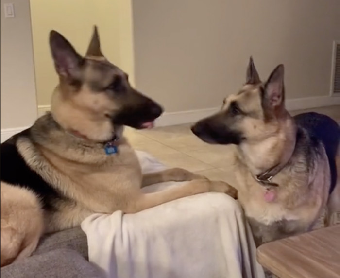 Towards the end, they just looked at each other as if to say, "Do you think she's for real?"