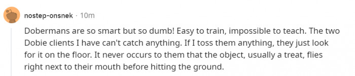 3. Dobermans can’t catch.