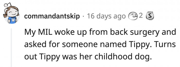 Some even look for their childhood furry pals.