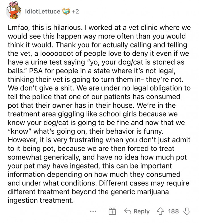 They’re not going to turn you in; you should always say exactly what happened.