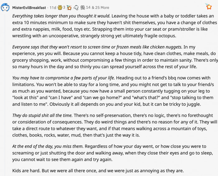This Redditor perfectly described the love-hate relationship with having kids
