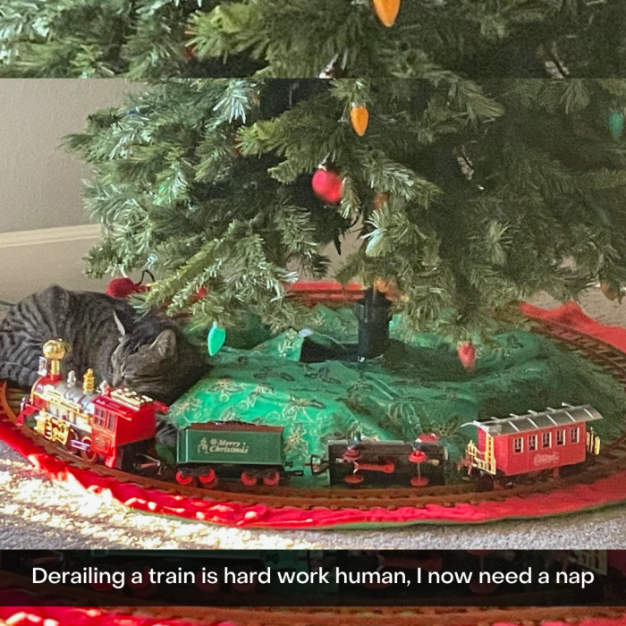 28. Well done, cat, well done.
