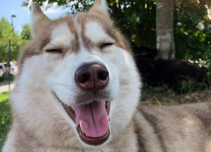 Banner is also used to going for a walk with her mom