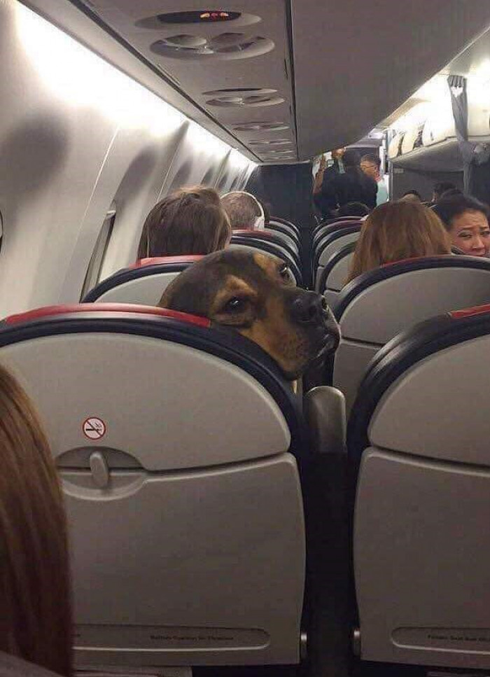 3. Hey man, why are you kicking my seat?