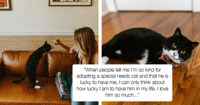 Rescue Cat With Only Two Legs Is Living His Best Life After Being Adopted By The Right Person