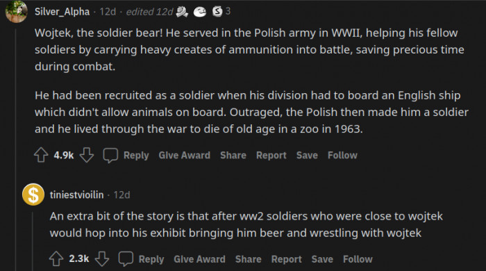 4. Wojtek: The Soldier Bear