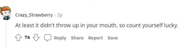 Another person mentioning the cat vomit, but compared to that, I'd say he is lucky.