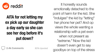 Redditers Prove That This User Is TA For Not Letting Her Ex Pick Their Daughter A Day Early To See Her Dog Before It's Put Down
