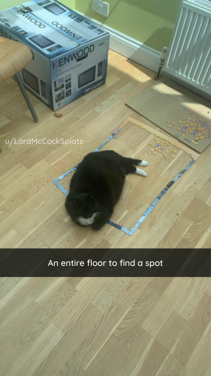 16. Who needs the entire floor when there's a puzzle in progress?