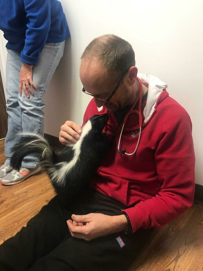 Skunks aren’t common to see in regular vet clinics so if they decide to pay you a visit, you better be on your best behavior