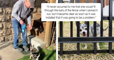 Woman Uses An Interesting Method To Stop Her Dog From Squeezing Through The Fence
