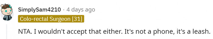 Most of the young Redditors agree that it is a leash in disguise.