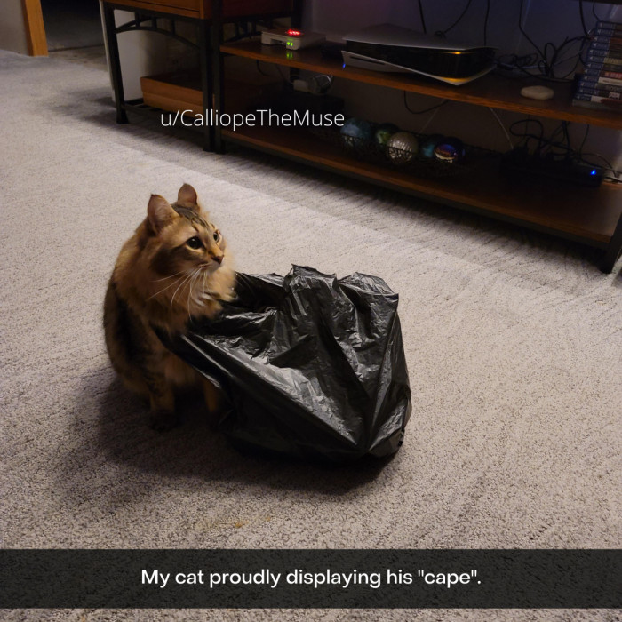 51. Maybe not the hero we need, but certainly the hero we deserve.