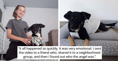 Young Girl Stops On Rainy Sidewalk To Help A Wet, Stray Puppy On Her Way Home From School