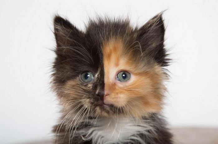 Which, looking at her, is easy to understand!