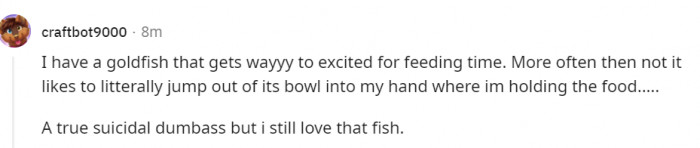 19. That fish really likes its food.