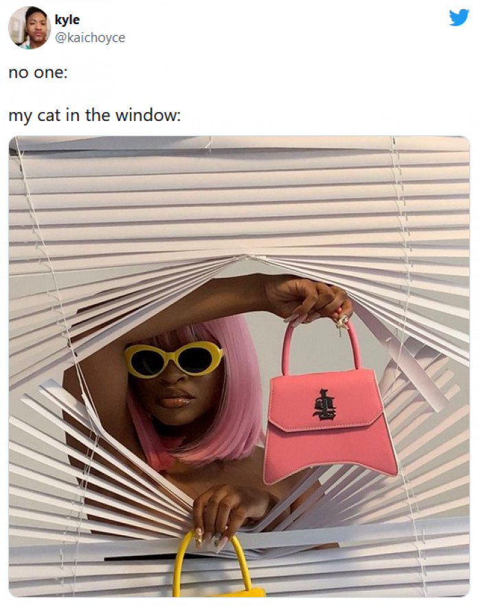 25. My cat in the window just wanting to show off for the neighbors.