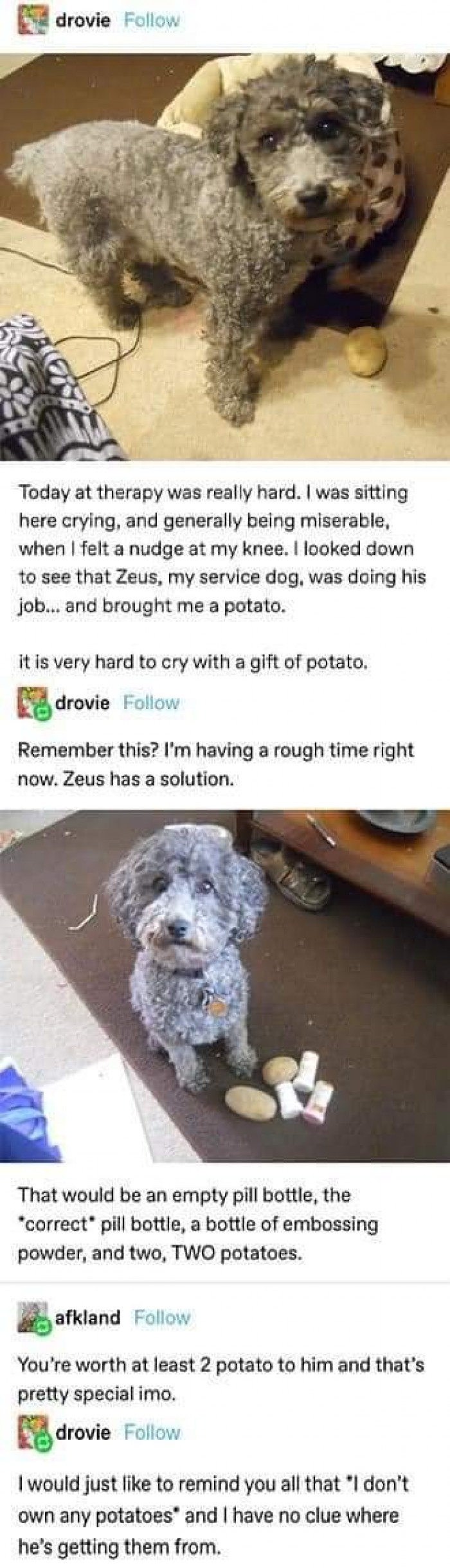 29. Potato gift from the heart