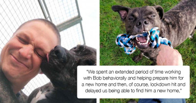 Shelter Dog Has Watched 221 Other Dogs Find Their Forever Homes While Waiting To Be Adopted