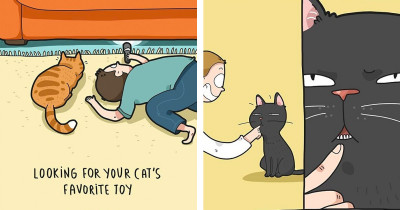 30 Hilarious Comics That Perfectly Depict A Life With A Cat