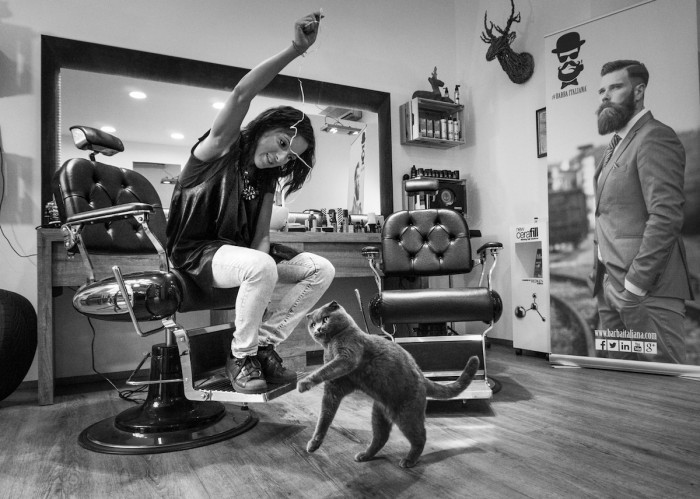 She photographs cats in business environments like saloons...