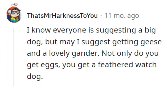 Forget the dog and get the geese